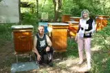 Światowy Dzień Pszczół. Wyjątkowa pasja rodziny Czarneckich z gminy Łęczyca