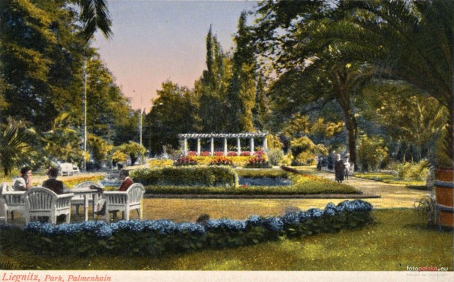 Na terenie parku znajdowały się ogrody, m.in. różany, palmiarnia, fontanny, urocze zakątki i obecna do dziś pergola.