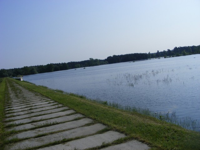 Wał  chroniący ujęcie wody dla miasta  Poznania  znajdujące się w okolicach  Krajkowa  trzyma się  dobrze