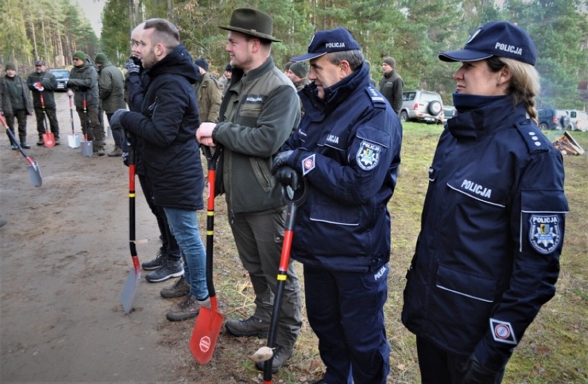 Bytowscy policjanci, z komendantem na czele, sadzili las. Akcja charytatywna Nadleśnictwa Bytów