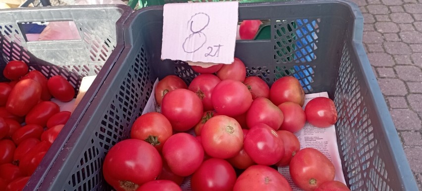 Najdroższe pomidory nie przekraczały ceny 8 złotych za...