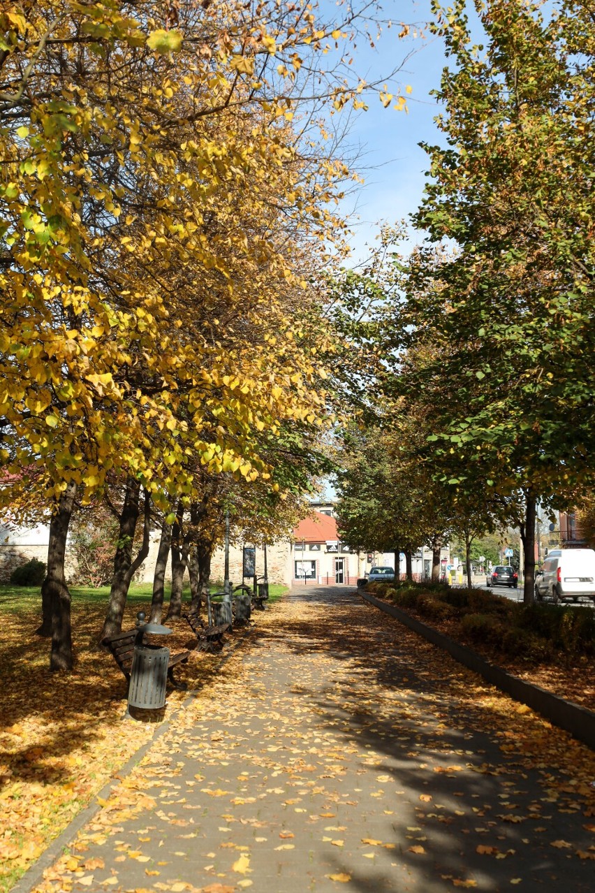 Jesienna aura zawitała do Olkusza