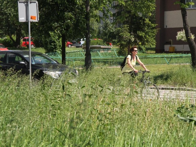 Wysoka trawa to nie tylko zmora alergików. Ta rosnąca przy drogach zasłania widoczność użytkownikom ruchu.
