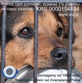 Towarzystwo Opieki nad Zwierzętami w Polsce [reklama]