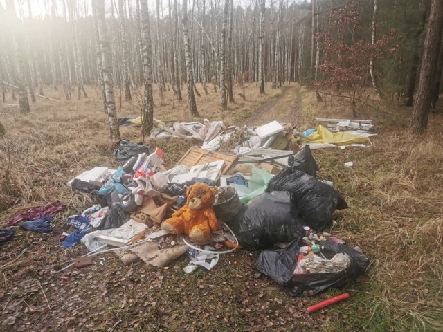 Ktoś wyrzucił w okolicy Osiedla Słowiańskiego w Międzychodzie (tzw. Olminu) hałdy śmieci. Nadleśnictwo wyznaczyło nagrodę za jego wskazanie.