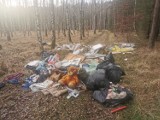 Ktoś wyrzucił w okolicy Osiedla Słowiańskiego w Międzychodzie (tzw. Olminu) hałdy śmieci. Nadleśnictwo wyznaczyło nagrodę za jego wskazanie