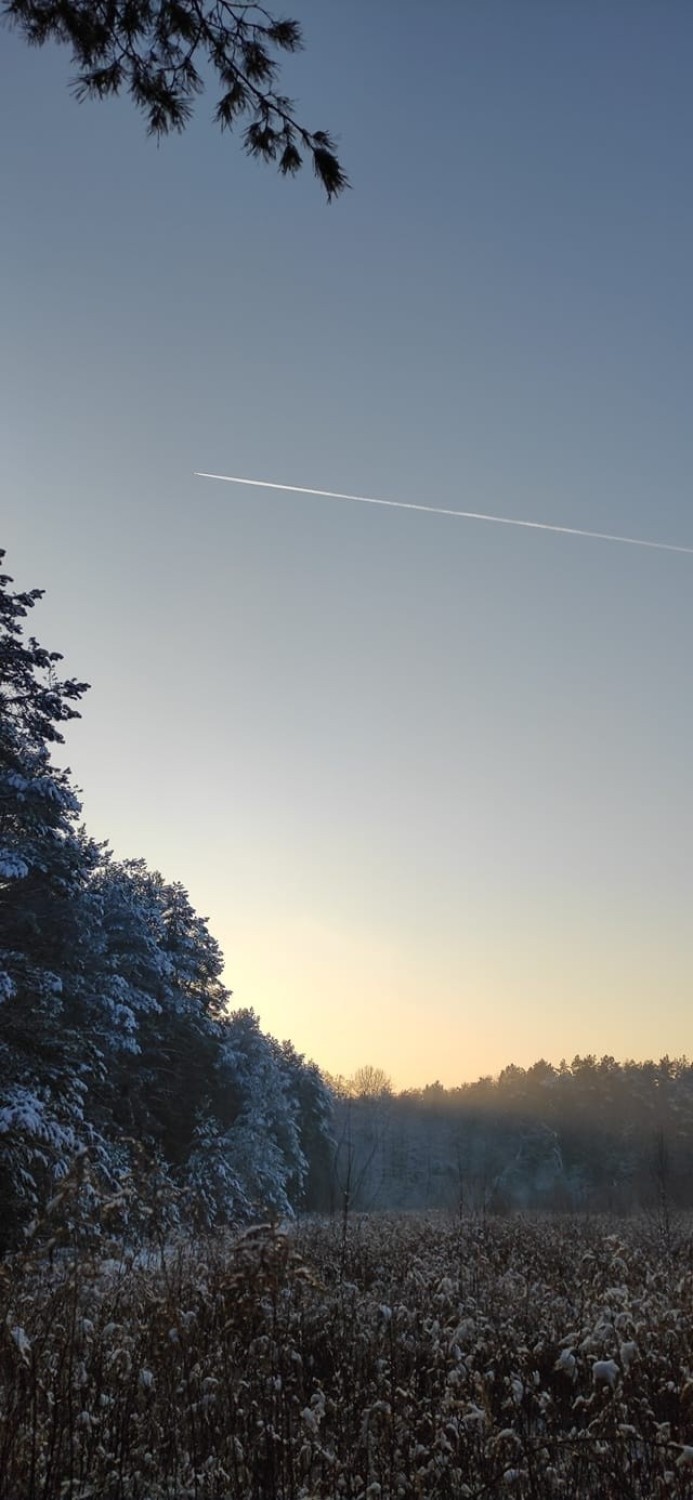 Zima w Zielonej Górze i okolicy - zdjęcia Czytelników