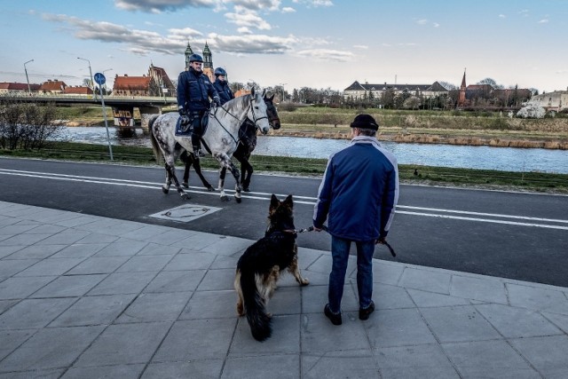 Patrol policji konnej nad Wartą w Poznaniu