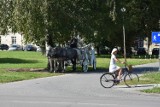 Europejski Dzień bez Samochodu. Bezpłatny przejazd komunikacją miejską albo rowerem za darmo dla zdrowia i czystego powietrza [INFORMACJA]