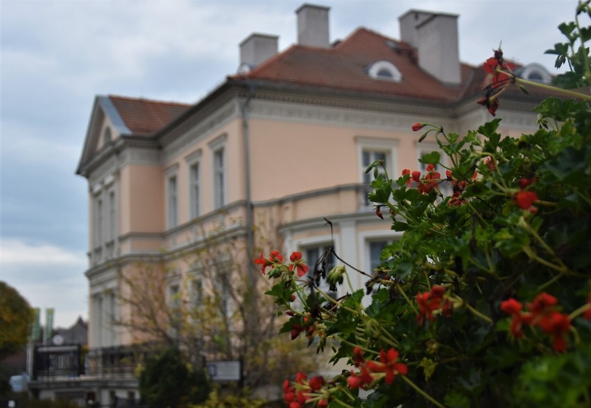 Wiadomo, kto został dyrektorem Muzeum Miasta Malborka. Burmistrz zgodził się z rekomendacją komisji konkursowej