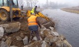 Brzegi nad Skawą w Graboszycach (gm. Zator) umocnione. Towarzystwo na rzecz Ziemi w Oświęcimiu pokazało jak to zrobić ZDJĘCIA] 