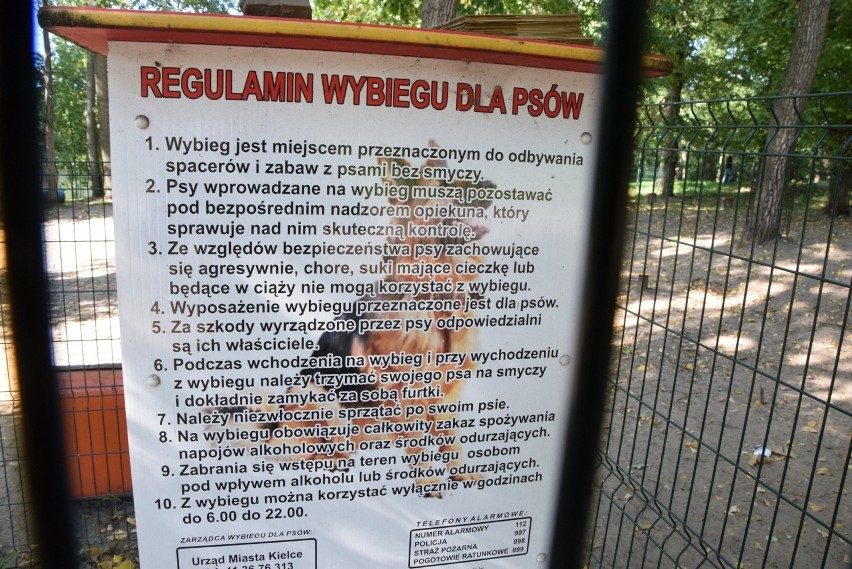 Plac zabaw dla psów w Kielcach utrapieniem dla sąsiadów [ZDJĘCIA]