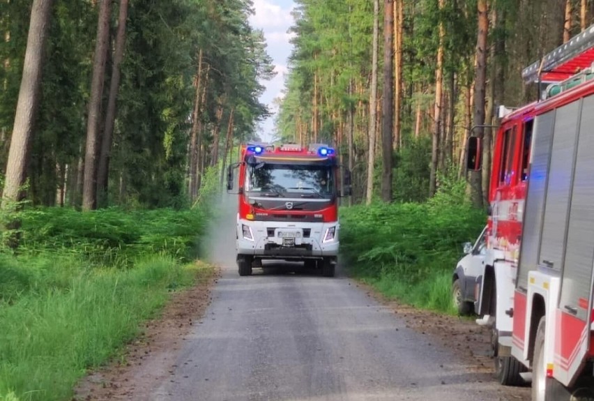 Pożar młodnika w Borach Niemodlińskich. Do akcji ruszył nawet samolot