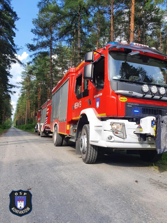 Do akcji skierowano także samolot Dromader należący do Lasów Państwowych, który stale dyżuruje na lotnisku w Polskiej Nowej Wsi. Dromader zrzucił na pożar jeden transport wody. Spłonęło 9 arów ściółki leśnej i 1 ar młodnika. 