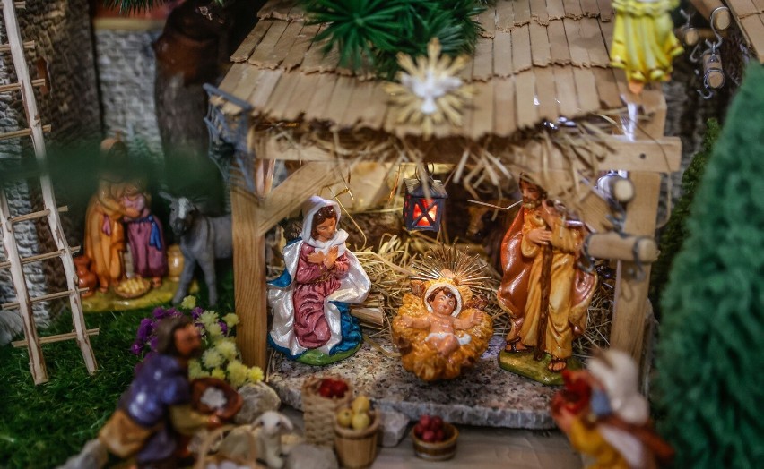 Przepiękna domowa szopka bożonarodzeniowa w Kraczkowej. Zobacz zdjęcia i wideo