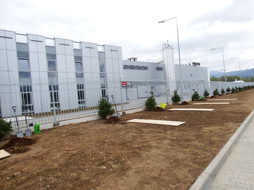 W kwietniu 2016 r. firma Żywiec Zdój S.A. otworzyła nowy zakład produkcyjny w Wieprzu.