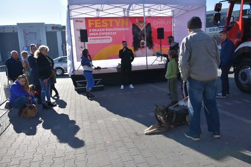 Chełm. To był udany festyn z okazji Światowego Dnia Zwierząt. Zobacz zdjęcia