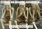 Oto najśmieszniejsze memy z powiatu inowrocławskiego: Inowrocławia, Pakości, Gniewkowa i Kruszwicy. Zobaczcie memy!