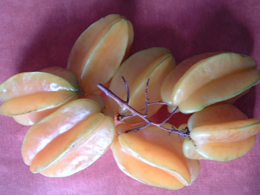 Owoce Karamboli. Smak słodko-kwaśny, używa się do sałatek i...