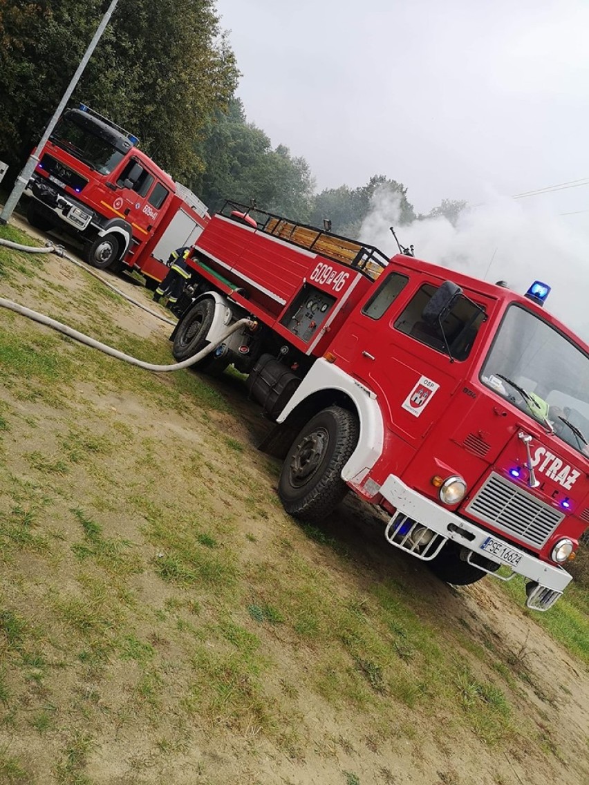 Strażacy gasili pożar śmietnika na Jarosławkach