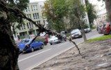 Drut kolczasty przy ul. Czechowskiej broni wjazdu na trawnik-parking