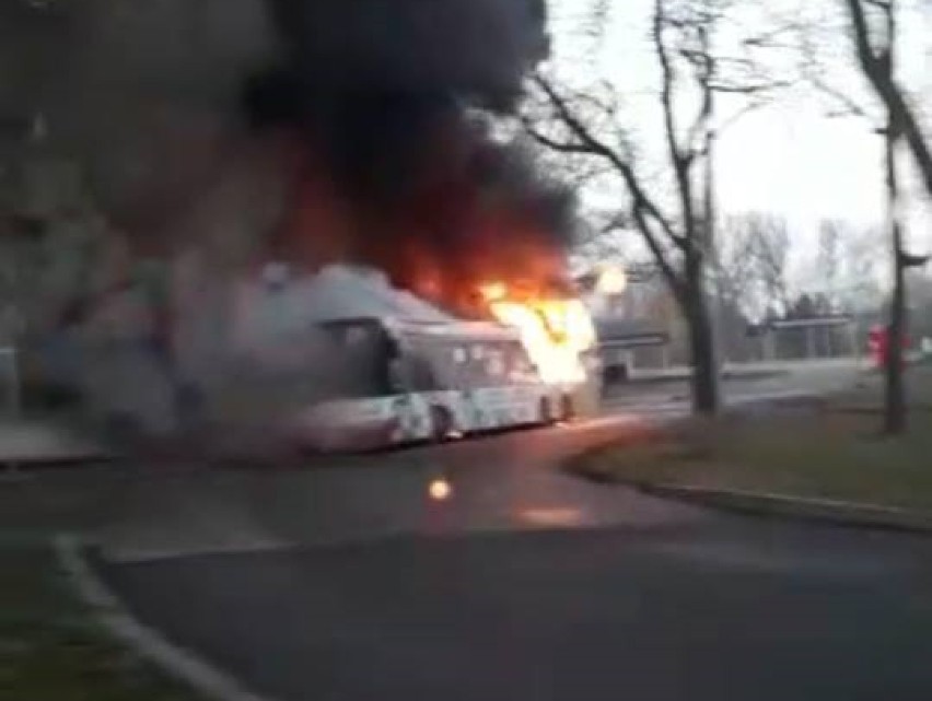 Dąbrowa Górnicza: Pożar autobusu w Strzemieszycach [ZDJĘCIA, WIDEO]. Pojazd spłonął doszczętnie