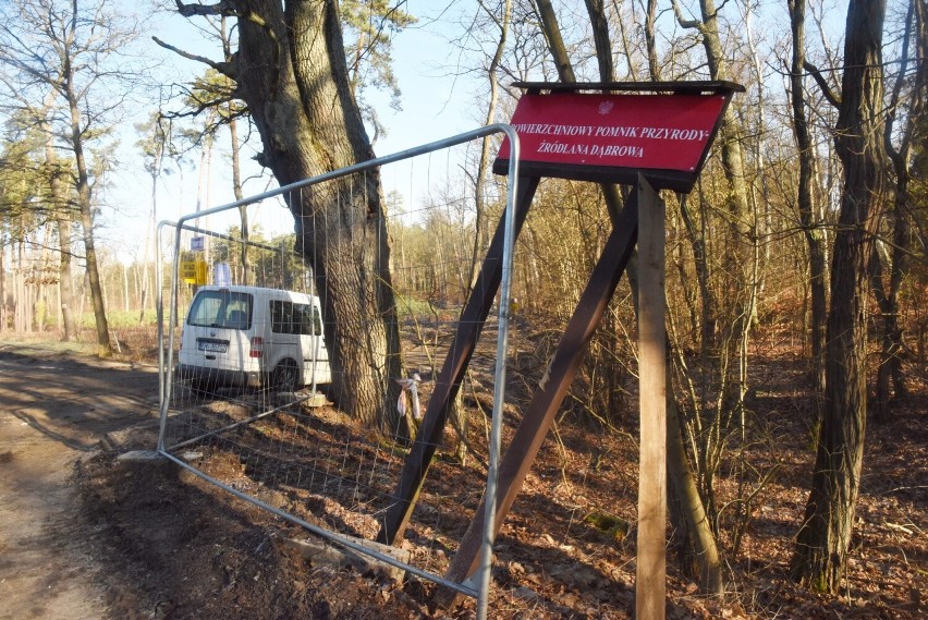 Czytelnik był zaskoczony rozmachem prac w tym miejscu....