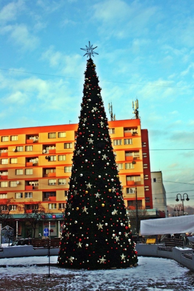 Fot.Zbigniew Natorski