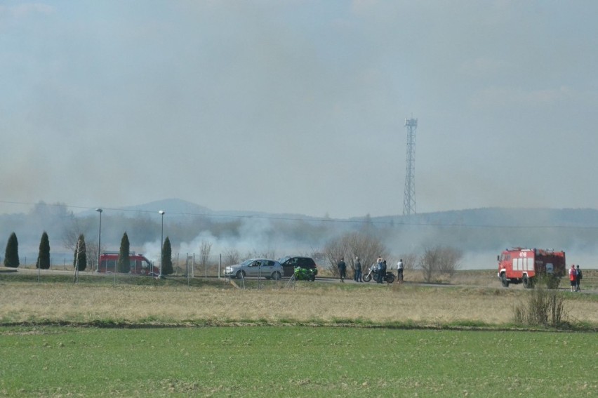 Ogromny pożar traw w Tarnowcu (ZDJĘCIA)