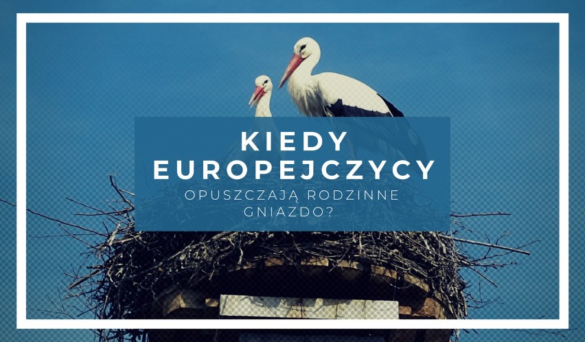 KIEDY Europejczycy OPUSZCZAJĄ rodzinne gniazdo? Sprawdź w jakim wieku mieszkańcy UE osiągają niezależność