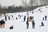 Ferie w Warszawie. Mieszkańcy korzystają z uroków zimy. Narty, sanki, łyżwy i wiele innych pomysłów na spędzanie wolnego czasu