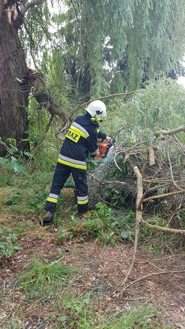 W weekend nad Wielkopolską przeszły burze z gradem. W Poznaniu spadło jedynie kilka kropel deszczu, ale w gminie Kórnik szkody wyrządzone przez naturę były ogromne.