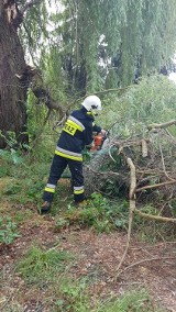 Gmina Kórnik. Wielkie zniszczenia i straty po weekendowych burzach 