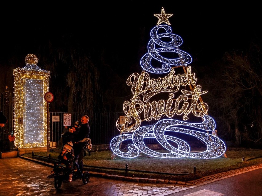 Świąteczne iluminacje w Parku Oliwskim zachwycają zwłaszcza wieczorami. To naprawdę warto zobaczyć!