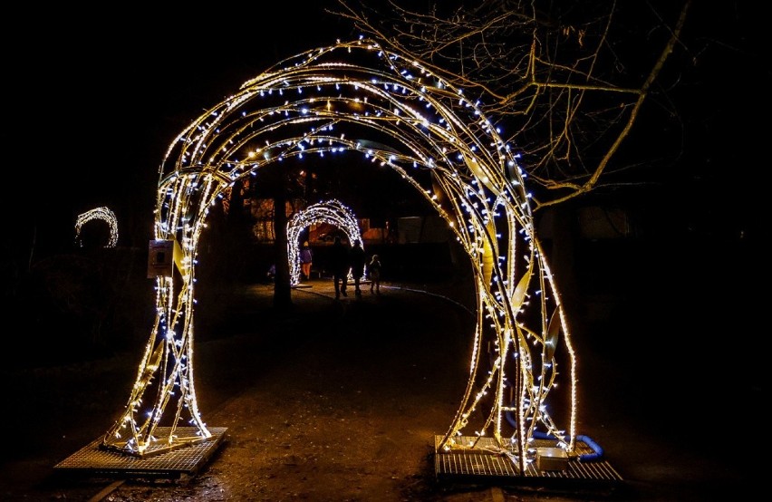 Świąteczne iluminacje w Parku Oliwskim zachwycają zwłaszcza wieczorami. To naprawdę warto zobaczyć!