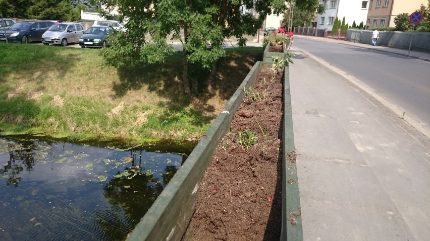 W Kościanie zniszczono kwiaty zdobiące most przy ul. Karola...