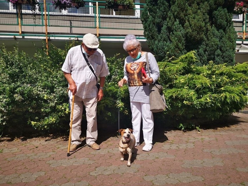 Oto szczęśliwi właścicieli psów adoptowanych z toruńskiego...