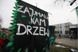 Cecylia Malik "opłakuje" wycięte drzewa. Performans o znikaniu zieleni z Krakowa [NOWE ZDJĘCIA]