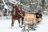 Podhale. Góralskie wyścigi na śniegu. Czyli kumotersko gońba w Białym Dunajcu [ZDJĘCIA]