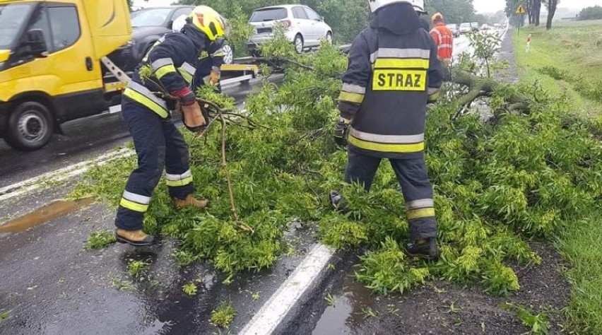 Zalane drogi i złamany konar w gm. Sulejów. Strażacy z...