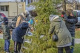 Mieszkańcy Żabianki, Jelitkowa, osiedla Tysiąclecia oraz Wejhera wzięli sprawy w swoje ręce i udekorowali drzewka świątecznymi ozdobami