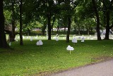 Wandale zniszczyli poetycką instalację w parku Mickiewicza [WIDEO]