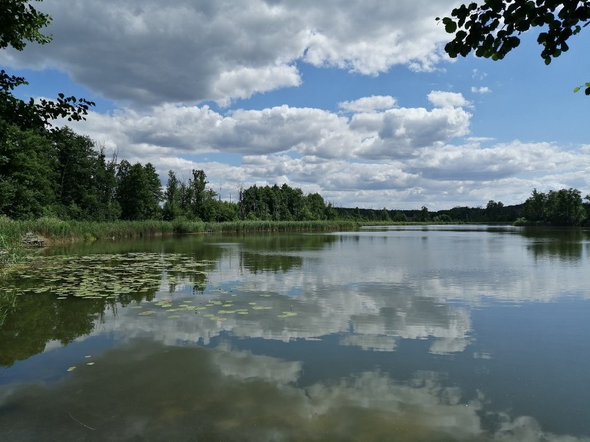 Urokliwe Jezioro Cegielniane w Pszczewie. Tu znajdziesz ciszę i wytchnienie