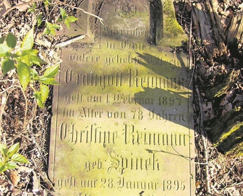 Nagrobek Trauguta i Krystyny Reiman na cmentarzu...