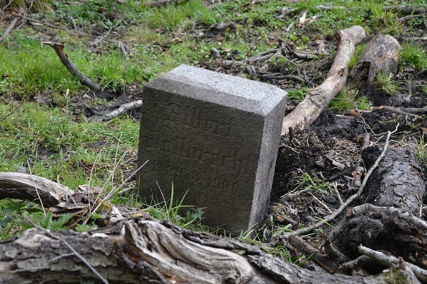 Poniemiecki pomnik odnaleziony w lesie pod Bodzęcinem. Kogoś tam pochowano?