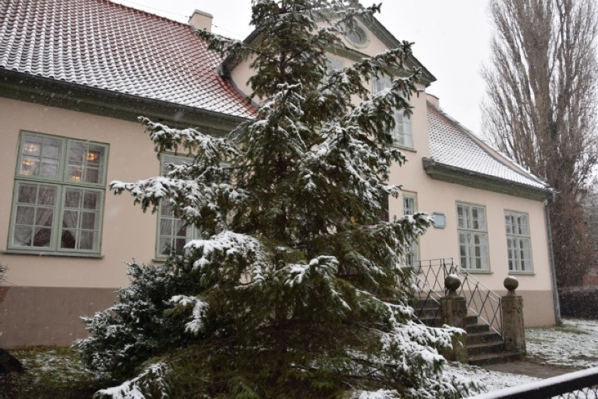 Przyprószony śniegiem Pruszcz Gdański. Biały puch przykrył budynki, drzewa i krzewy [ZDJĘCIA]