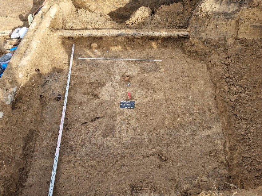 Kraków. Tajemnica cmentarza przy ul. Królowej Jadwigi. Znaleziono 33 szkielety. Ofiary cholery? Po badaniach będzie ponowny pochówek
