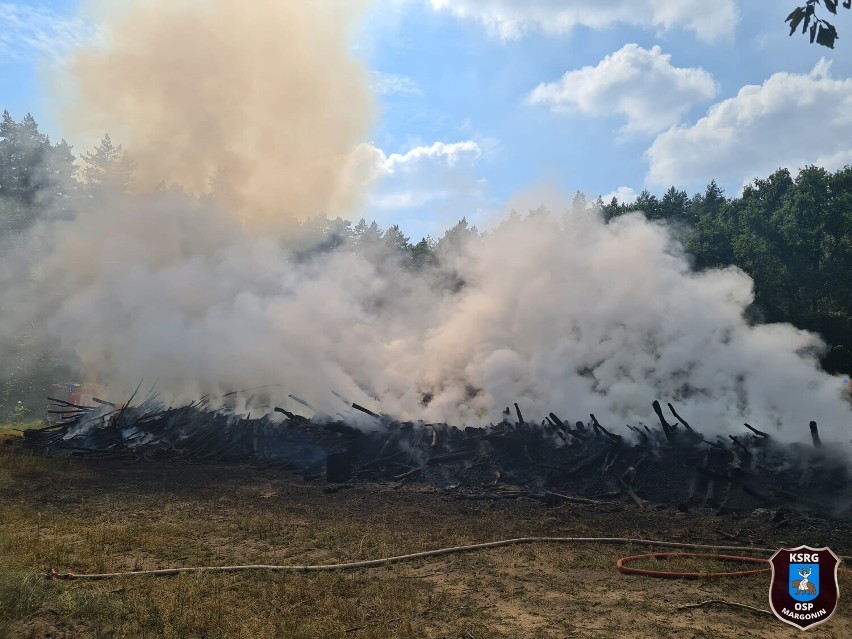 Samolot gaśniczy Dromader gasił pożar na terenach leśnych 