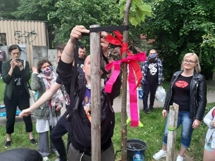 Kolejny protest przeciwko wycince przy Lipowej. Posadzili drzewo