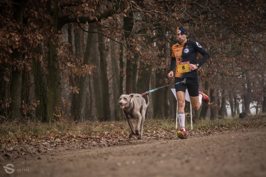 Ostrowianin i Megi stanęli na podium Mistrzostw Polski Wyścigów Psich Zaprzęgów. Ten niezwykły duet startował w canicrossie